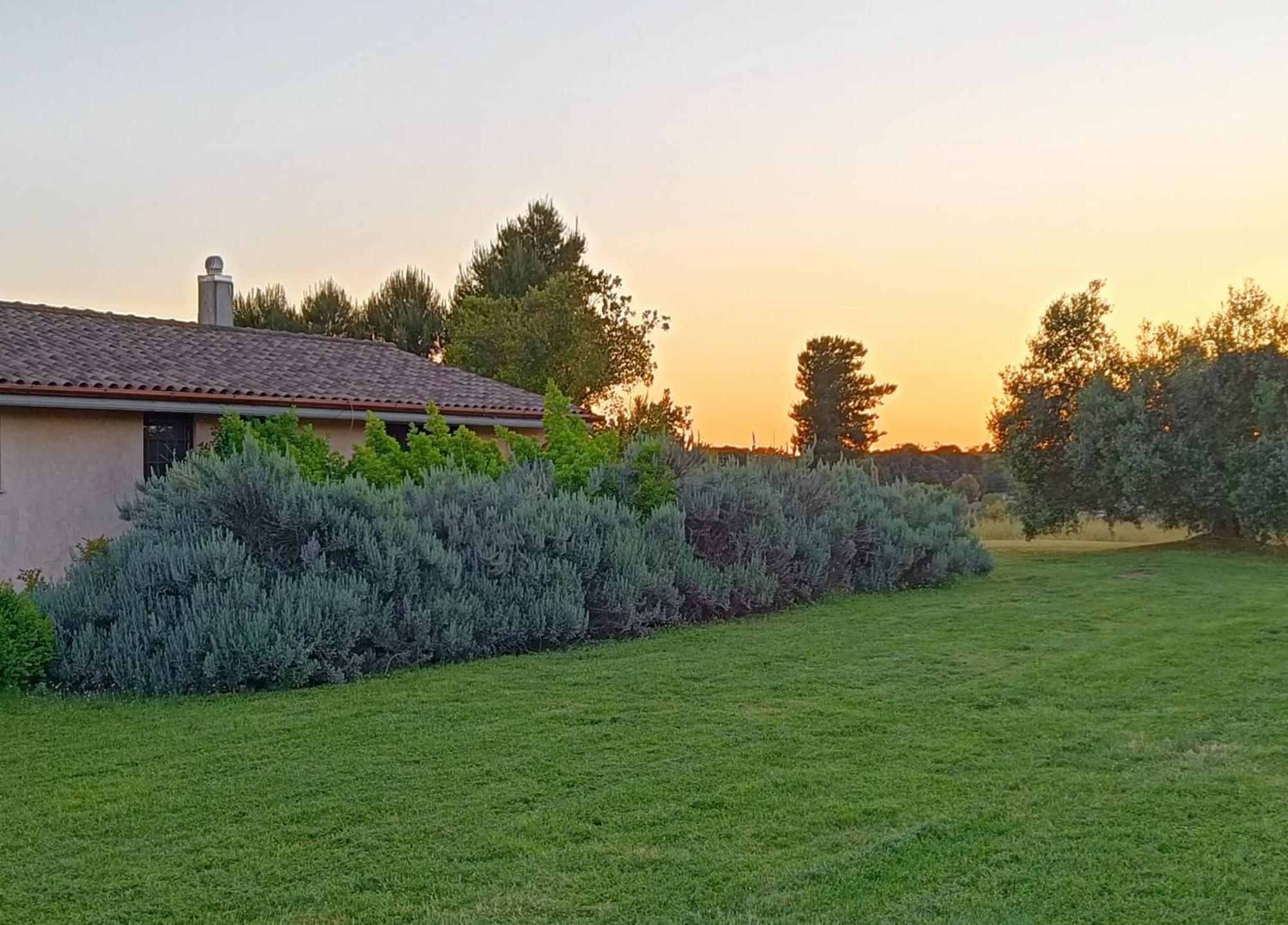 Agriturismo Fontelupo Bracciano  Exterior photo