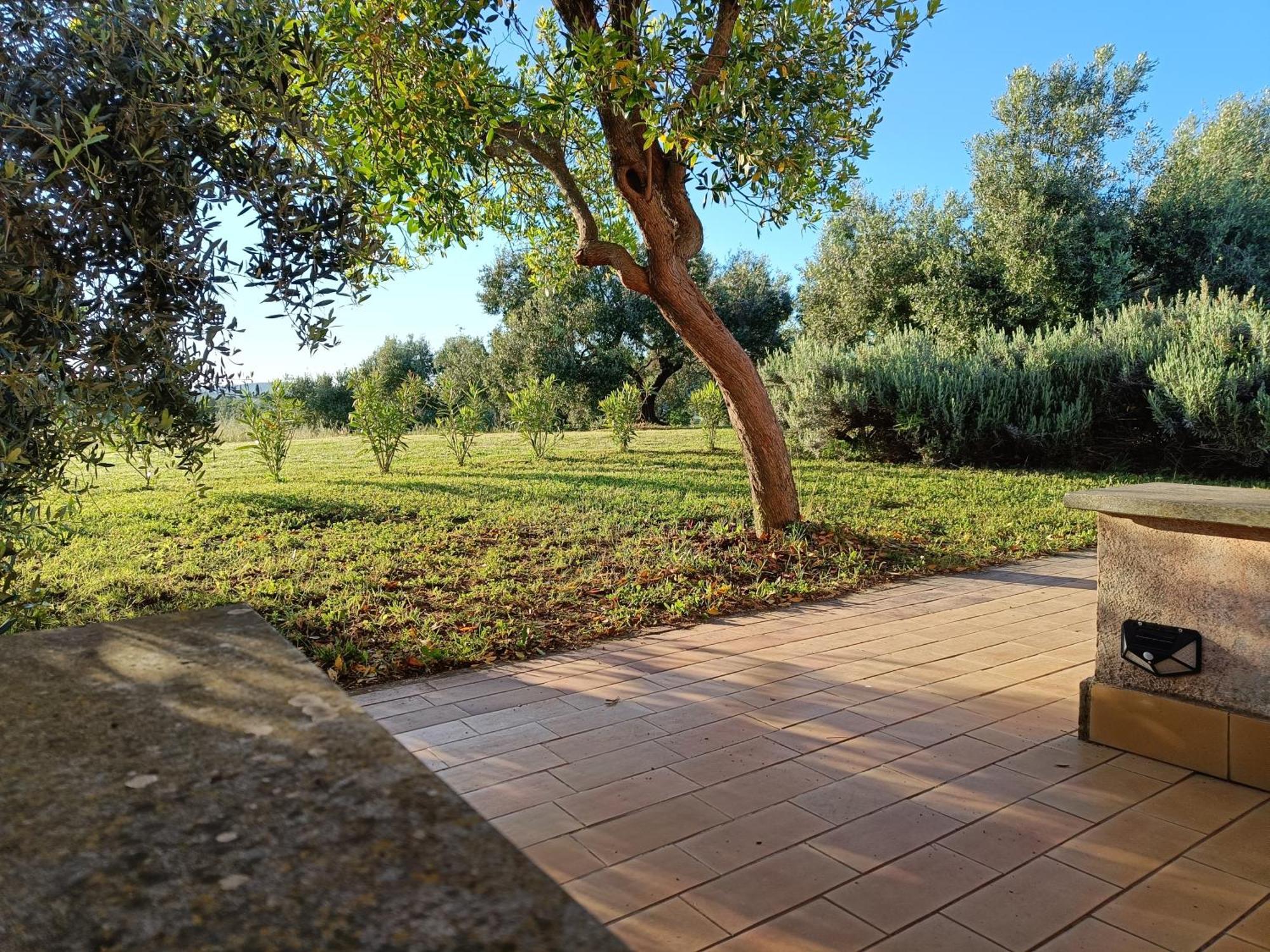 Agriturismo Fontelupo Bracciano  Exterior photo